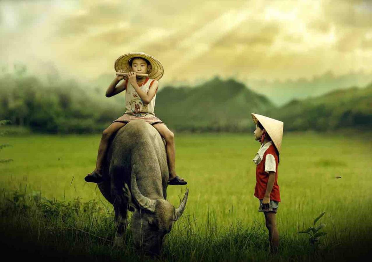 Hang Mua Happiness Homestay 宁平 外观 照片