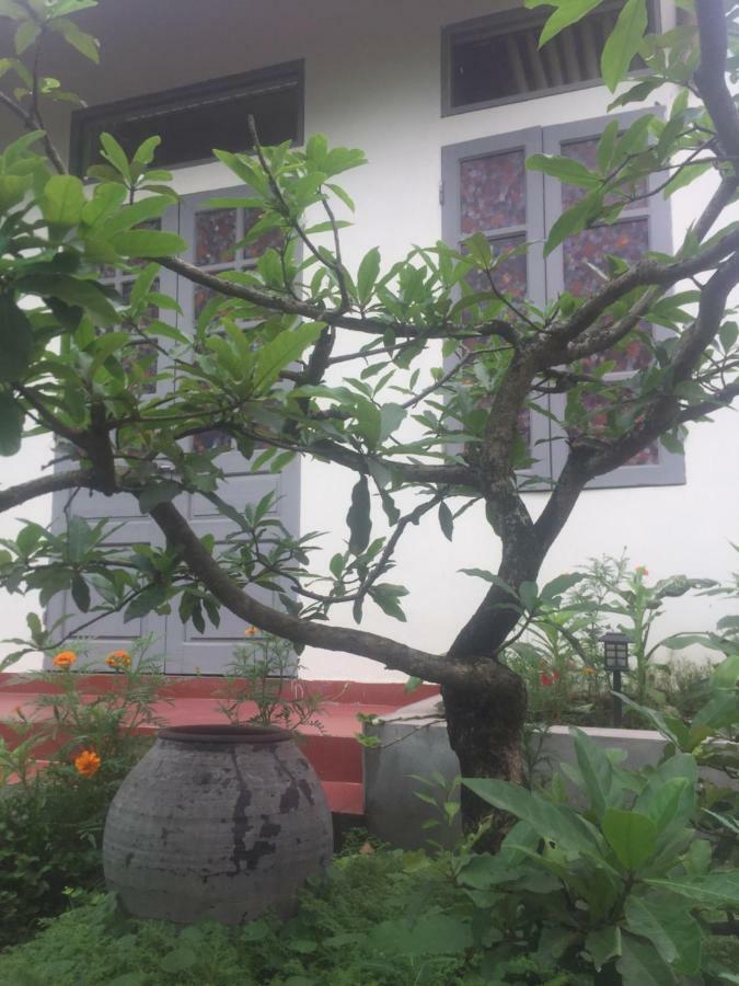 Hang Mua Happiness Homestay 宁平 外观 照片