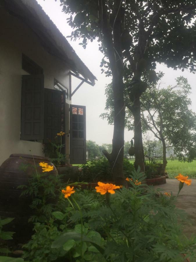 Hang Mua Happiness Homestay 宁平 外观 照片